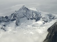 CH, Wallis, Fiesch, Eggishorn, Aletschhorn 5, Saxifraga-Willem van Kruijsbergen